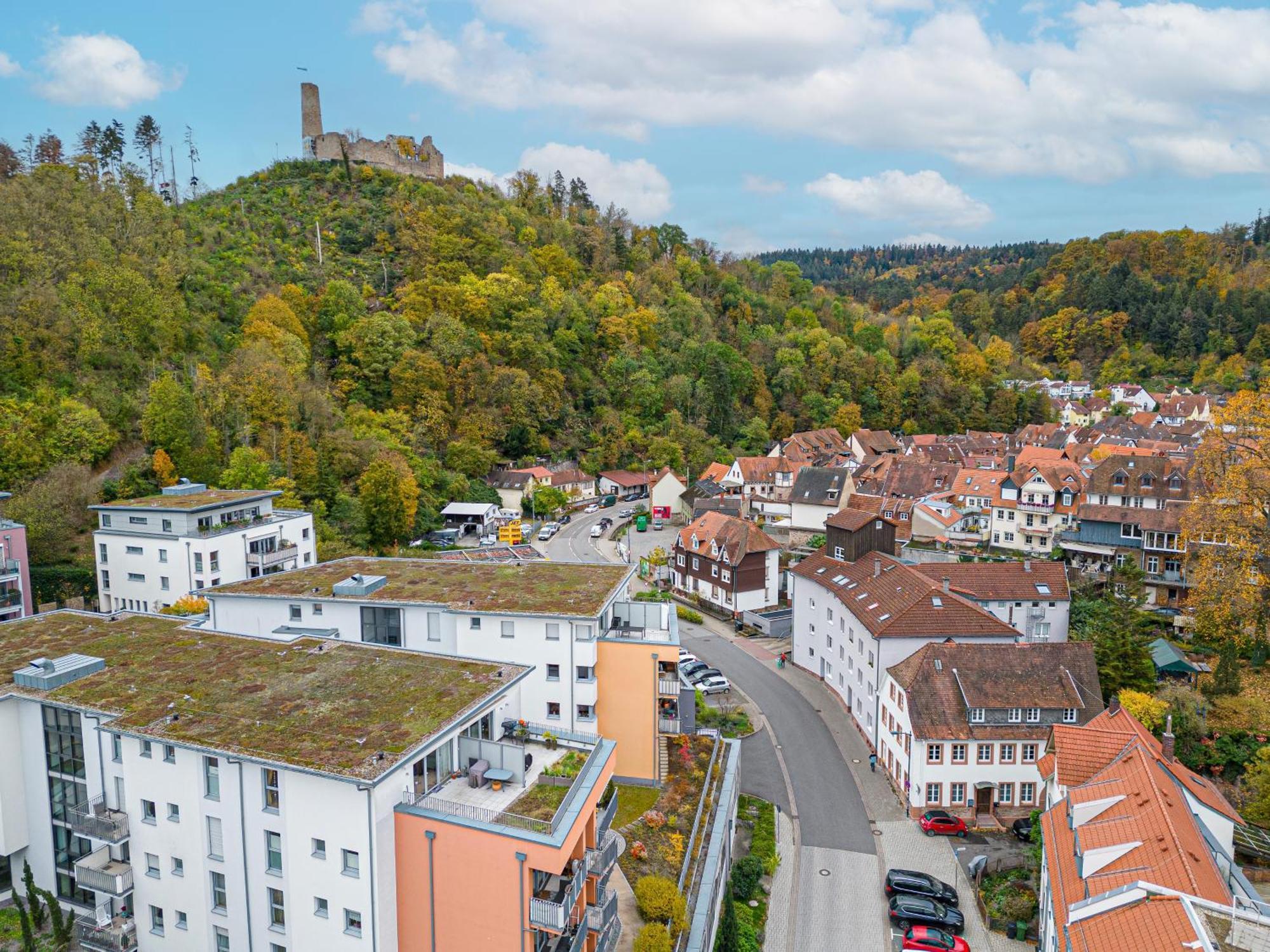 Lit Living Weinheim Altstadt - Boutique Apartments - Parking Extérieur photo